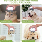 Electric Massager